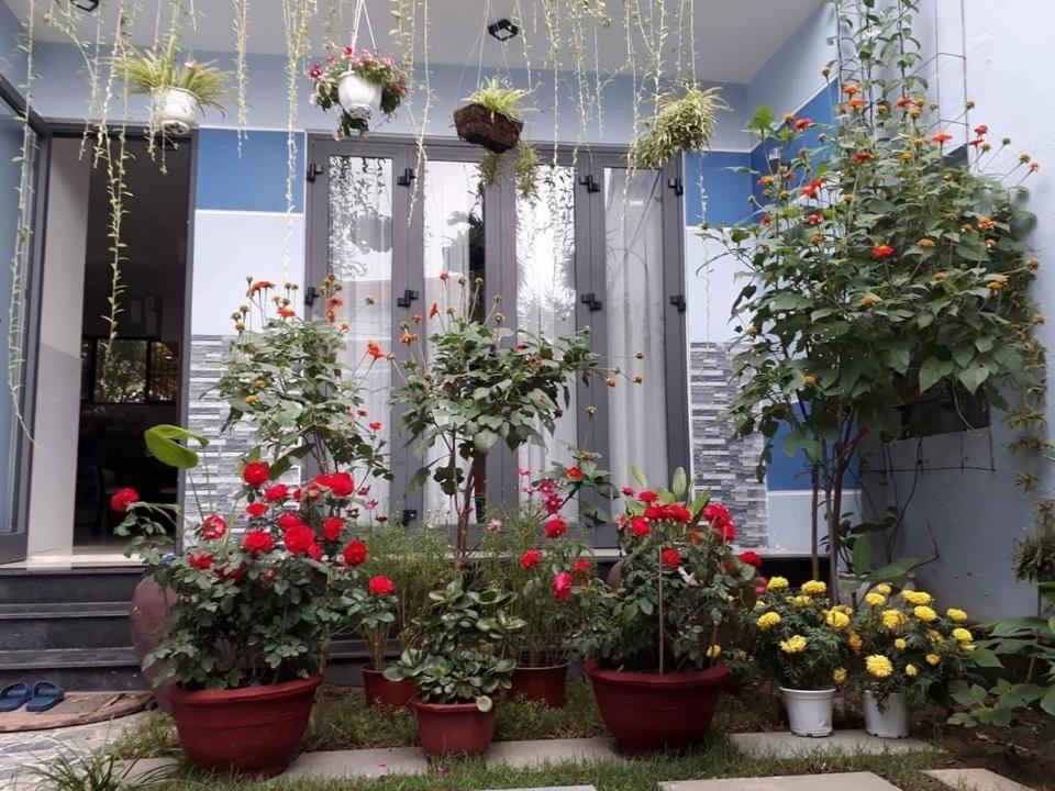 Cherry Garden Homestay Hoi An Eksteriør bilde