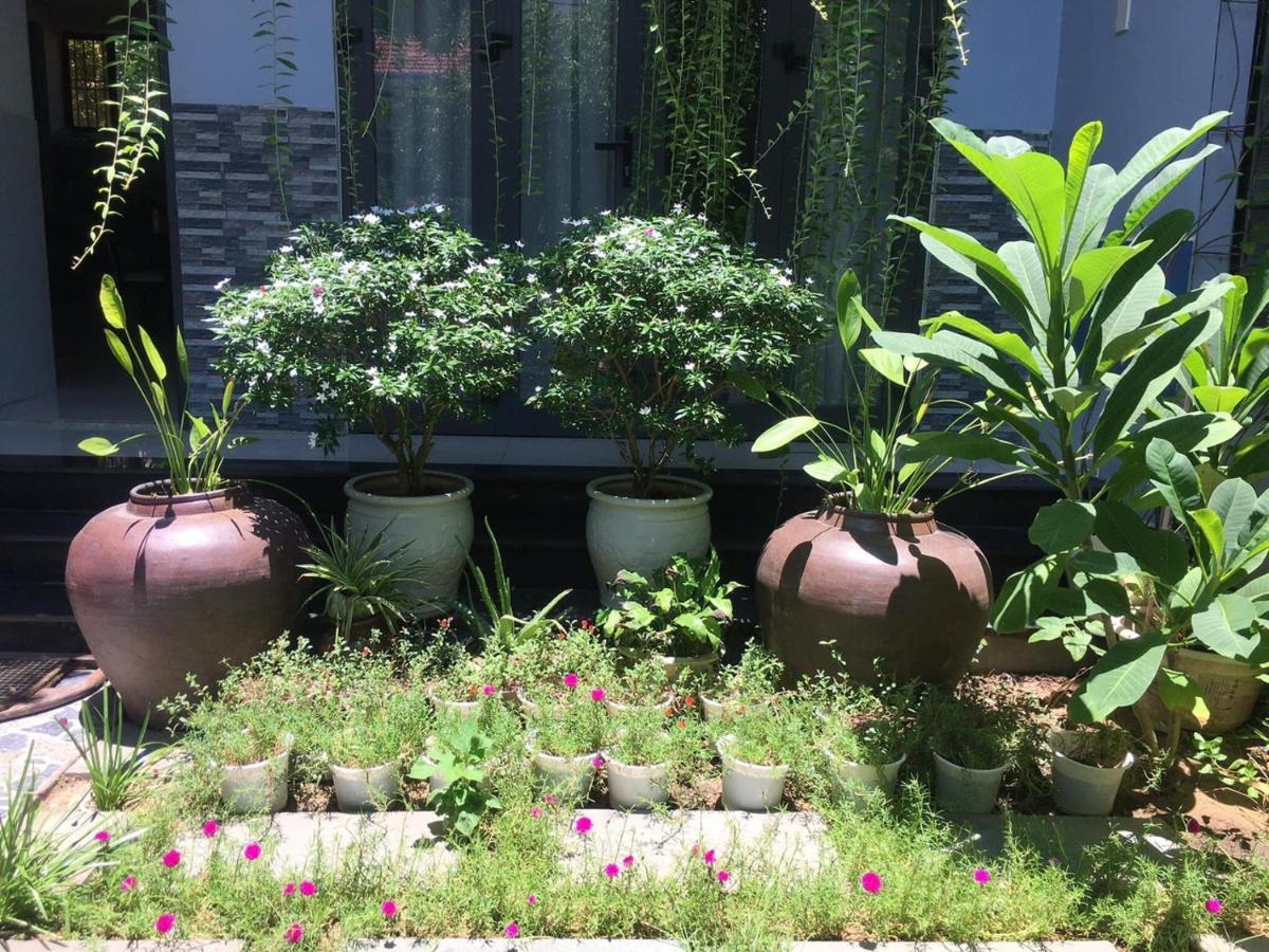 Cherry Garden Homestay Hoi An Eksteriør bilde
