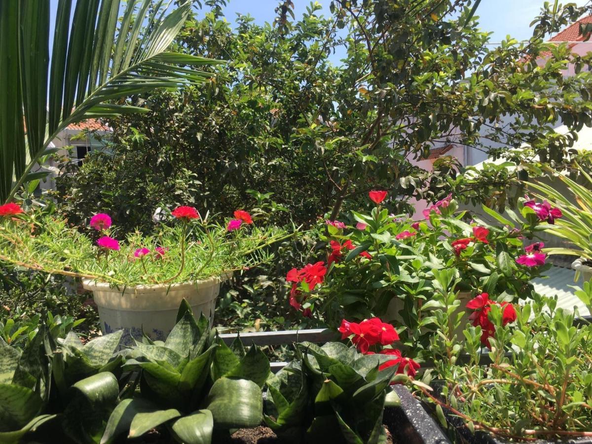 Cherry Garden Homestay Hoi An Eksteriør bilde